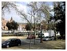 DSCN0414.JPG